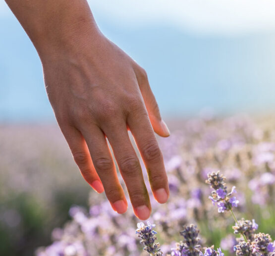 A hand gently holding a small bunch of wildflowers